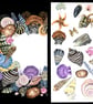 Exotic Shell Collection Card - Have a Wonderful Day!  - Image 3