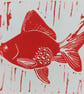 Goldfish