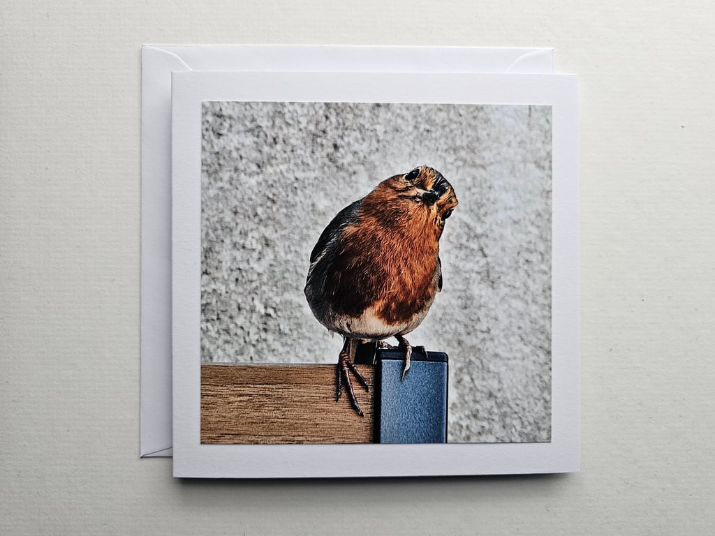 Friendly Robin Encounter Square Photographic Card Size 6" x 6" 