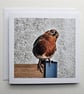 Friendly Robin Encounter Square Photo Card Size 6" x 6" 