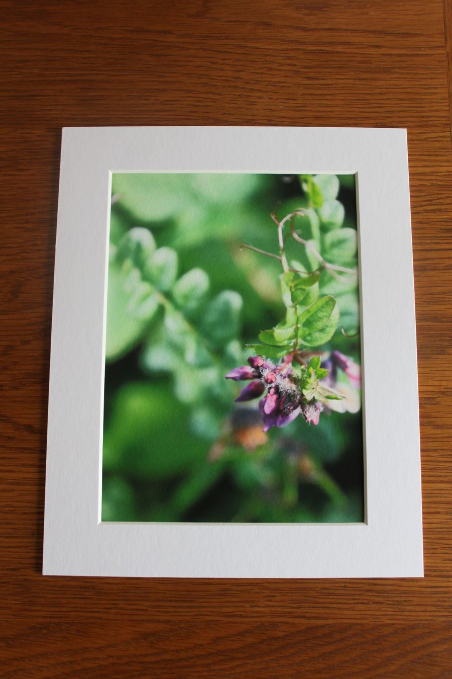 Tiny World View (Archival Print)