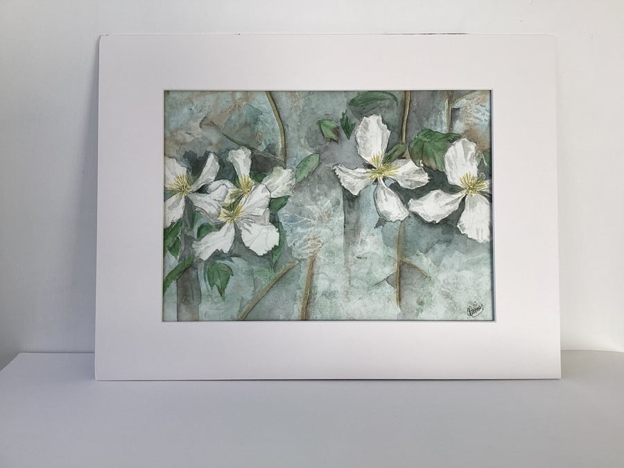 Climbing Clematis - Original Watercolour