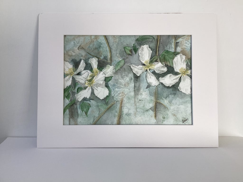 Climbing Clematis - Original Watercolour