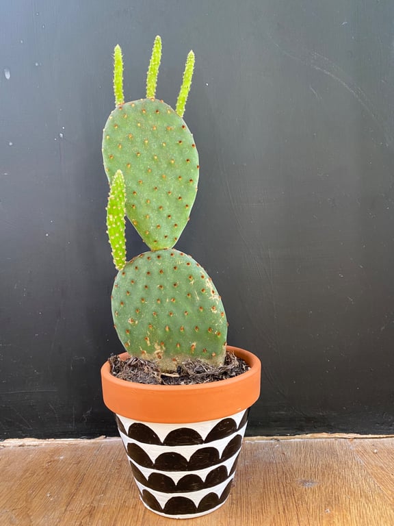 Plant pot, Hand painted, Unique gift, Terracotta