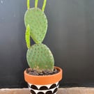 Plant pot, Hand painted, Unique gift, Terracotta