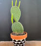 Plant pot, Hand painted, Unique gift, Terracotta