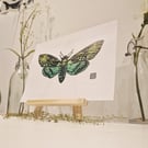 Death Moth in a Green and Yellow Gradient - Original Lino Print