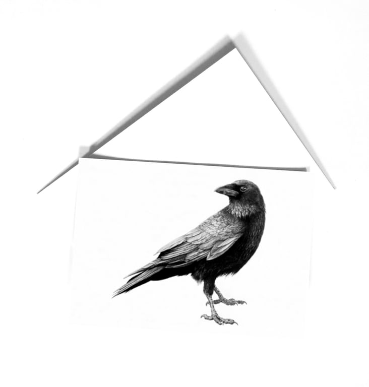 Crow blank card, black and white art card from original drawing, eco friendly