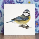 Blue Tit Blank Greeting Card