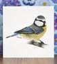 Blue Tit Blank Card