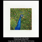 'The Peacock' Limited Edition Giclee Print