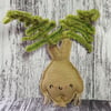 Fern Mandrake Hanging Decoration