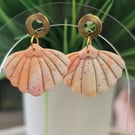 Pastel Shells