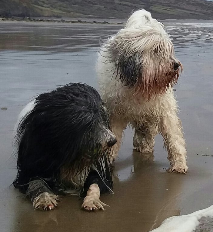 Pembrokeshire Wood Designs