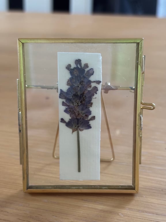 Pressed English Lavender Botanical Art in a vintage glass and metal frame