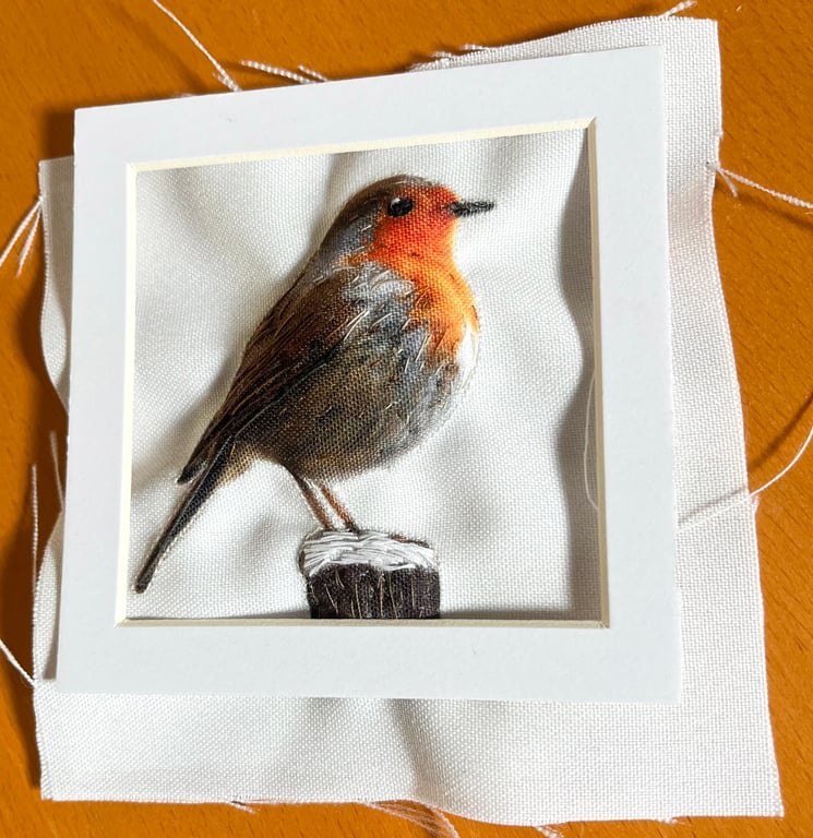 Robin, 3D fabric robin picture framed, gift, robin ornament
