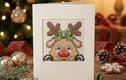 Xmas Cards / Decorations