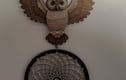 Dreamcatchers