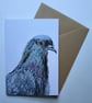 Pigeon Greetings Card