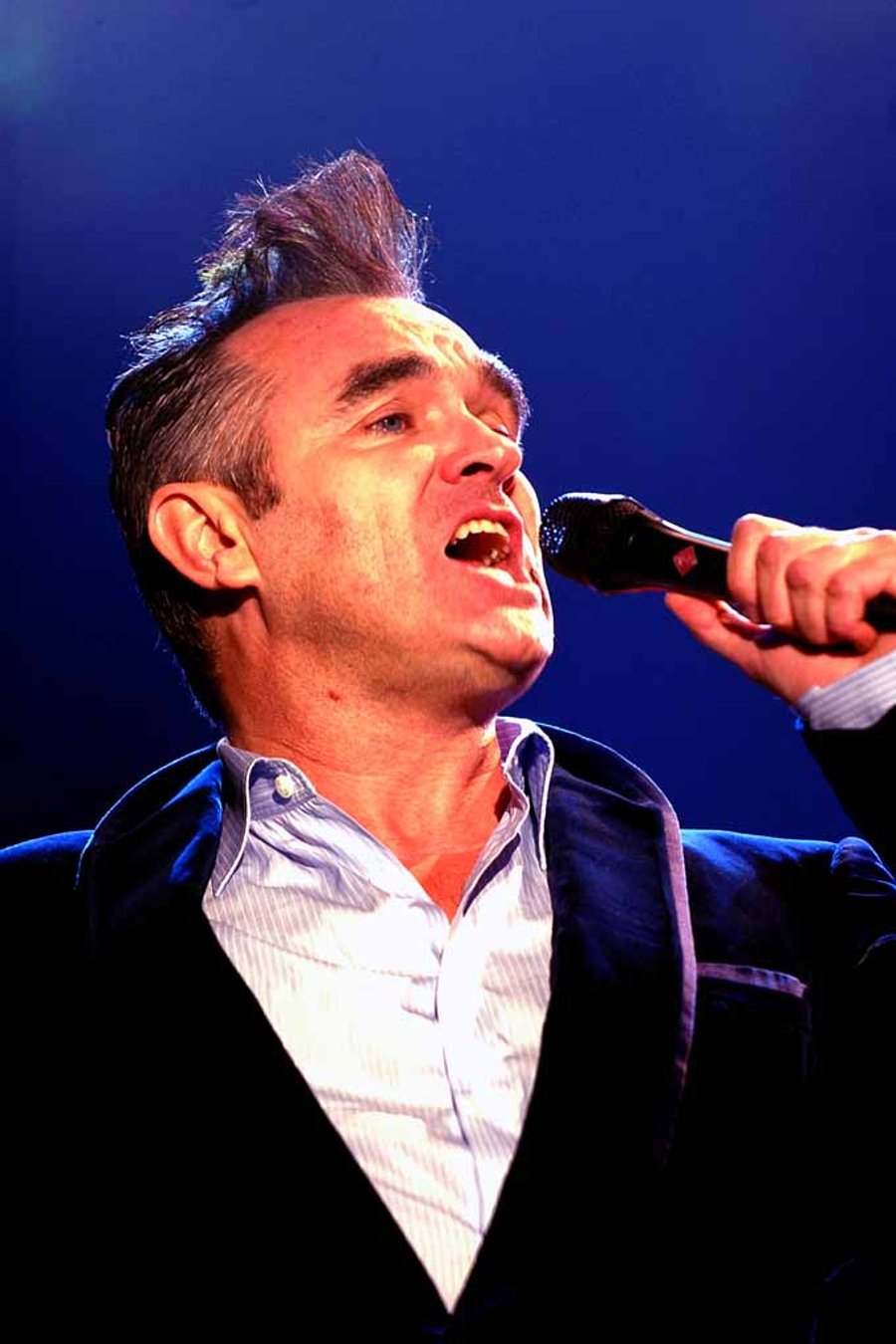 Morrissey Performing Live Reading Rock Festival Photograph Print