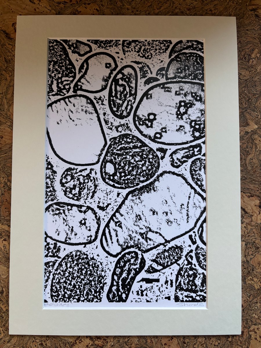 Monochrome Singular Print Eco Friendly Unique Gifts New Home Gifts 