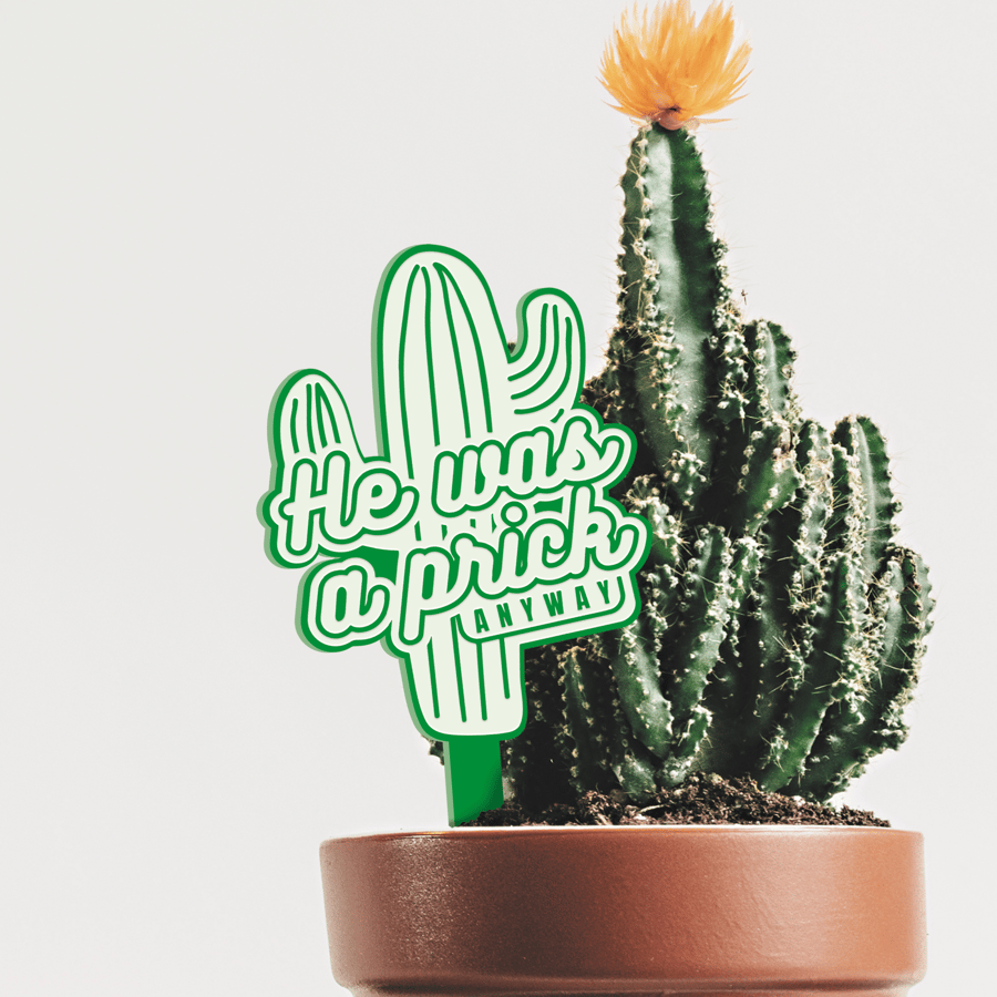 Prick Anyway - Retro Plant Tag: Small Thoughtful Funny Breakup Divorce Gift 