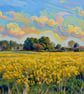 Rapeseed Crop The Fens Norfolk Greeting Card A5