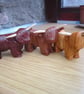 highland coo, highland cow - Image 1