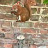 Red squirrel wind chime with aluminum chimes and a metal acorn striker 