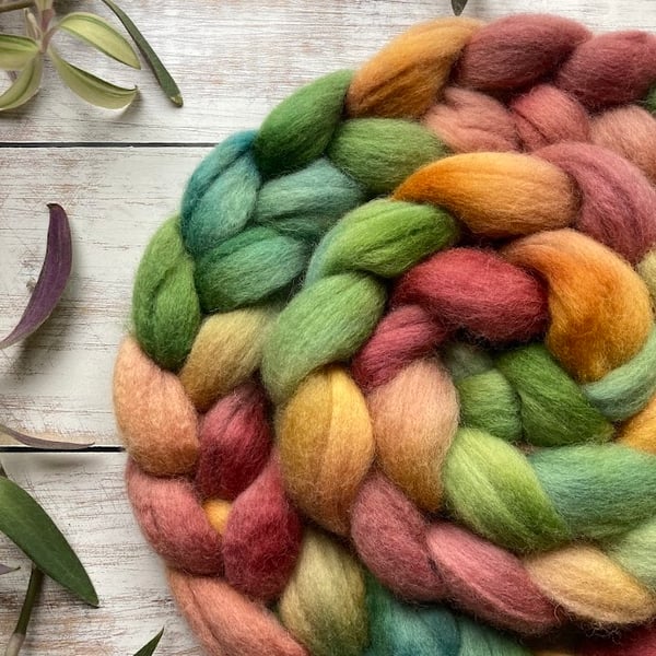 Kent Romney Spinning fibre 100g Christmas Pippin