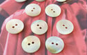 Mother of Pearl, Shell, Pearl, Organic 