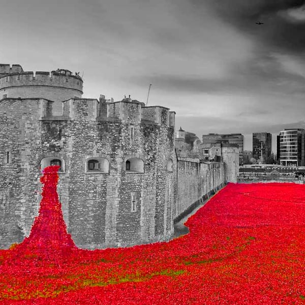 Tower Of London Red Poppies Poppy UK Photograph Print