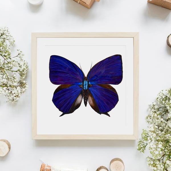 Oakblue Butterfly Giclée Print from Orginal Watercolour Artwork