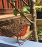 Wire Robin Sculpture - Image 5