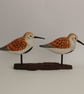 Summer dunlin duo - Image 5