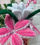 Pink & White Christmas Everlasting Flower Arrangement – Handmade - Image 3
