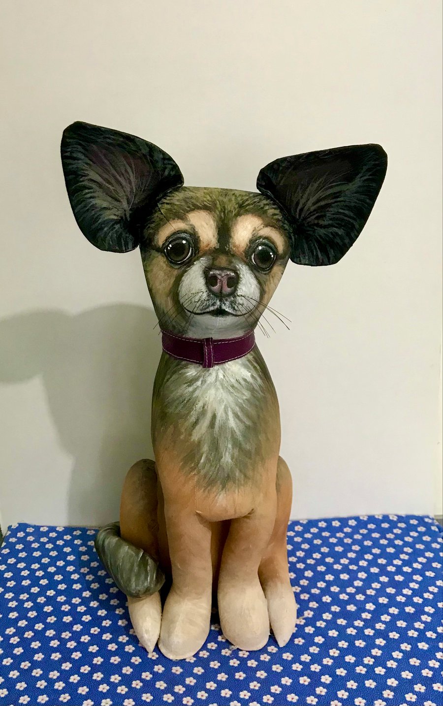 Chihuahua