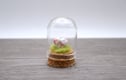 Glass Cloche