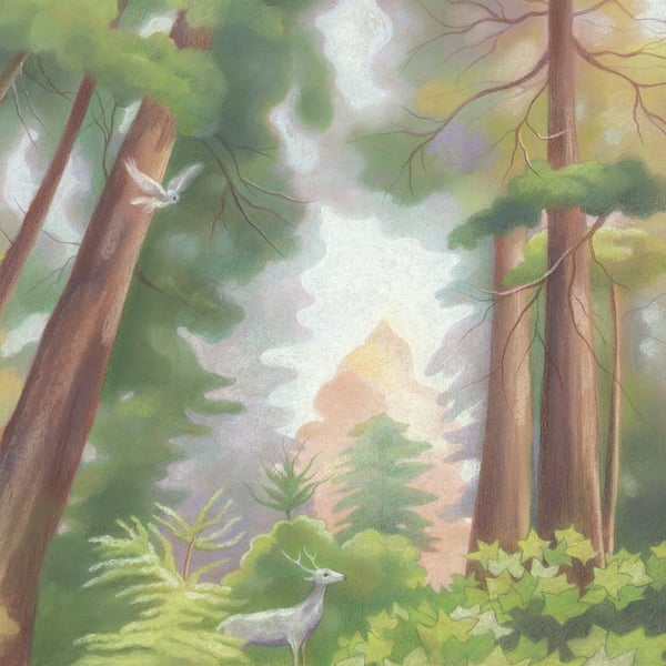 Redwood Forest drawing - beautiful trees, California art 