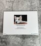 It's Hard Work Being a Puppy Blank Greetings Card Printed from Original Art - Image 3