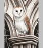 Barn Owl Small Original Coloured Pencil Bird Drawing - Image 3