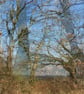 'Winter Day, Cefn Gorwydd' - Image 2
