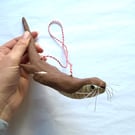 Paper Otter Decoration, Cute Nature Inspired Gift for Adults 