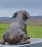 Lying Jack Russell Terrier Dog Statue Bronze Resin Garden Sculpture - Image 3