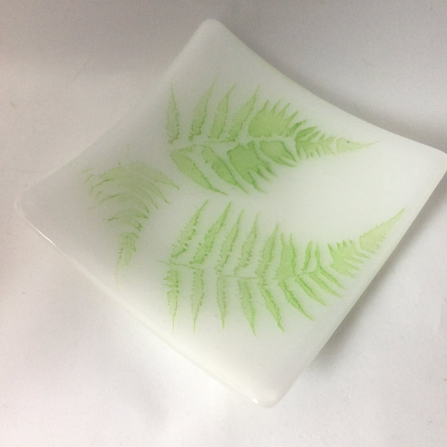 Green fern fused glass plate