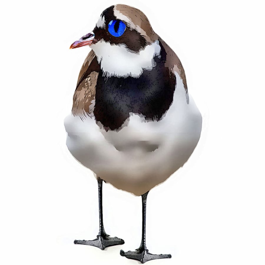 Quirky Odd Bird Birthday, Greeting Card