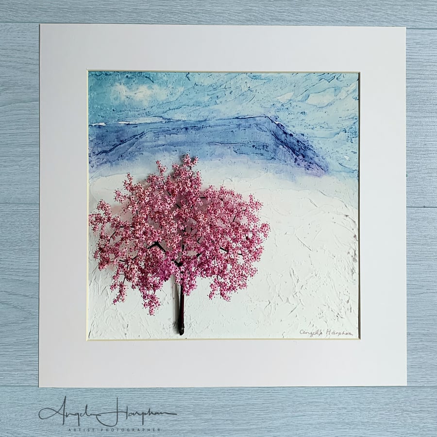 Digital Print from Original Acrylic Derbyshire with 'Elderflower Blossom Tree'