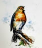 Robin, Original Watercolour Painting. - Image 1
