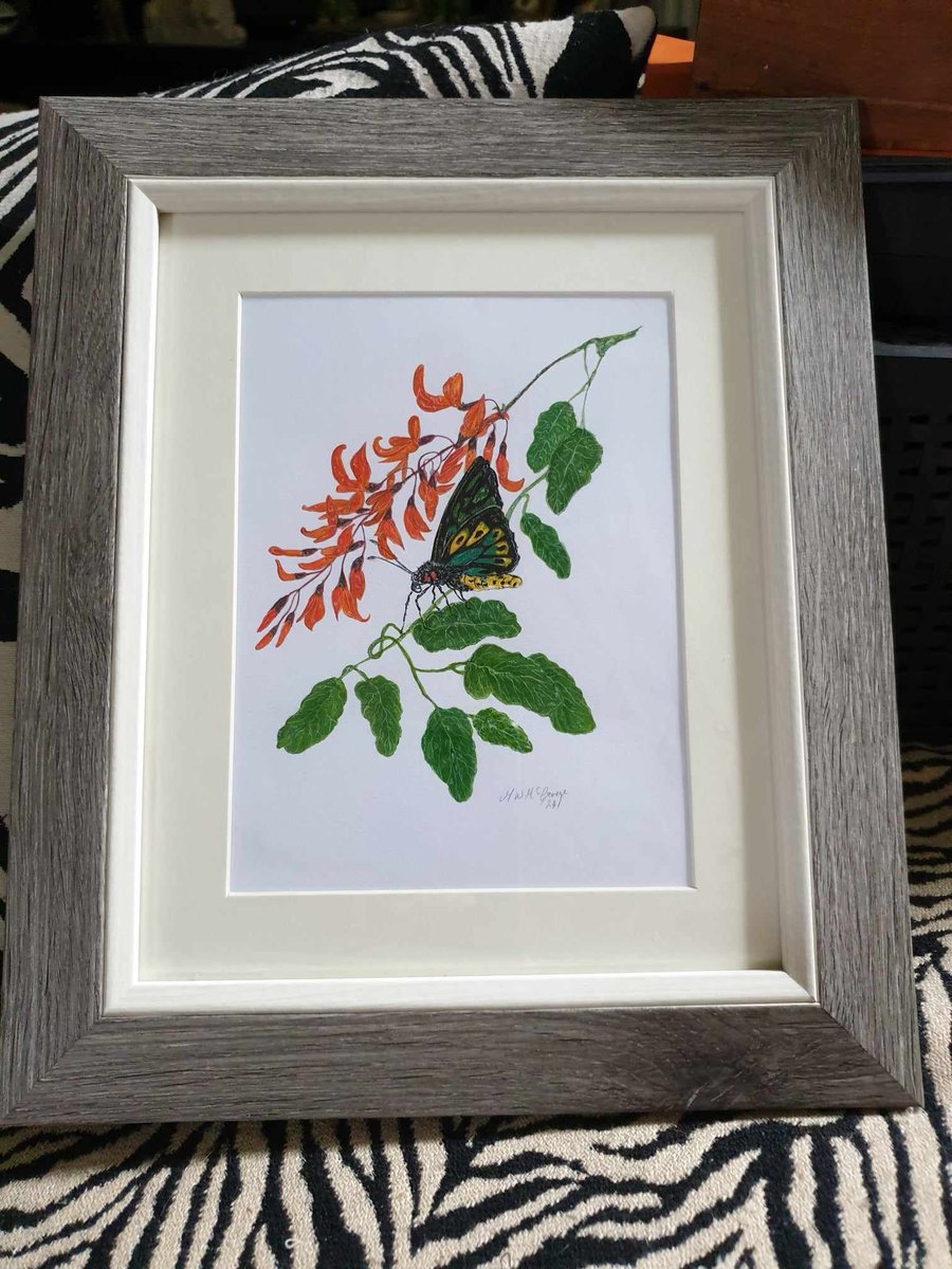 Original Mixed Media And Water Colour Picture Framed P&P