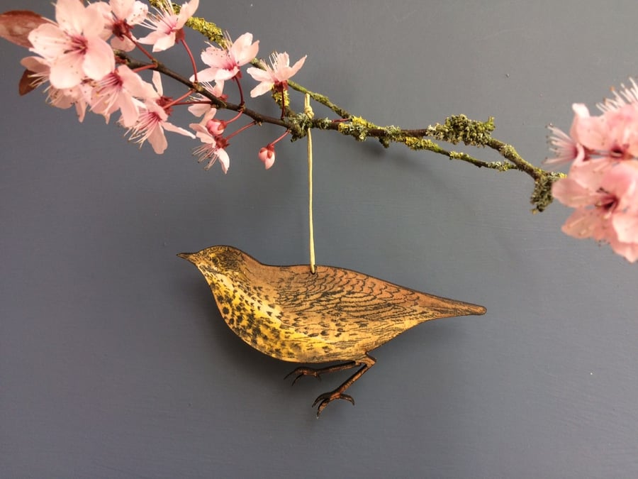 Thrush hanging decoration